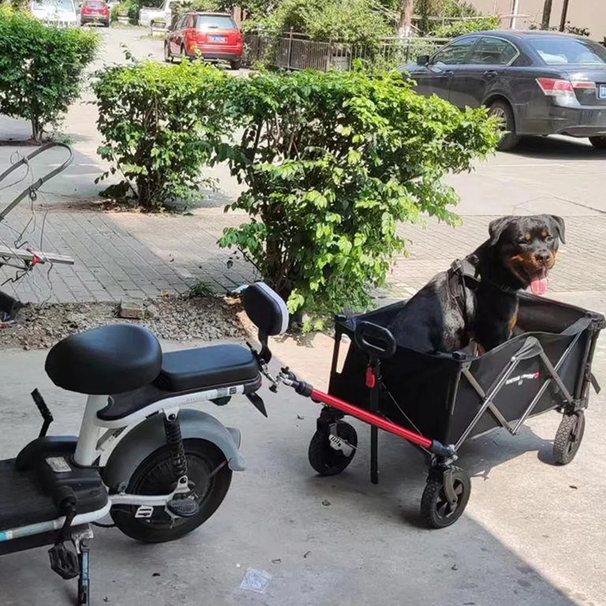 Capacité de Charge du connecteur pour remorque à vélo : 50 kg. Barre de remorquage pour remorque à vélo Pliable, idéale pour Les Enfants, Les Chiens et Les Chats. Compatible avec Les vélos p